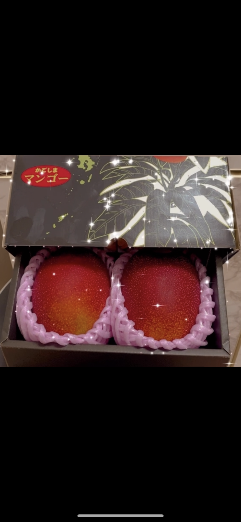 鹿児島マンゴー